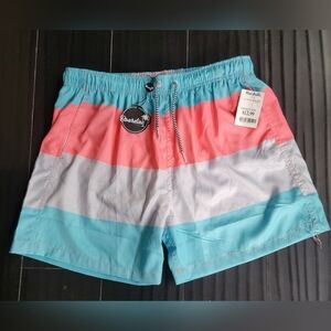 Colorful Striped Swim Shorts